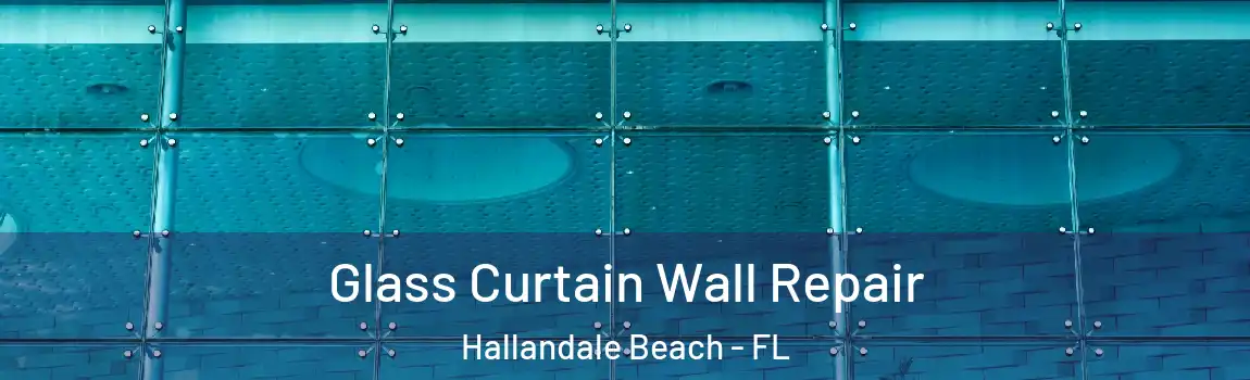  Glass Curtain Wall Repair Hallandale Beach - FL