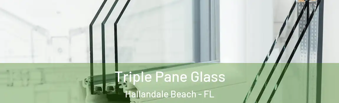 Triple Pane Glass Hallandale Beach - FL