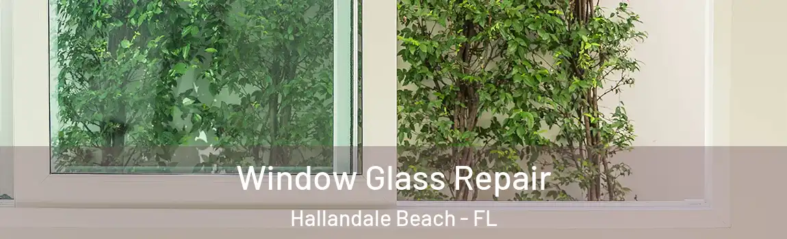  Window Glass Repair Hallandale Beach - FL