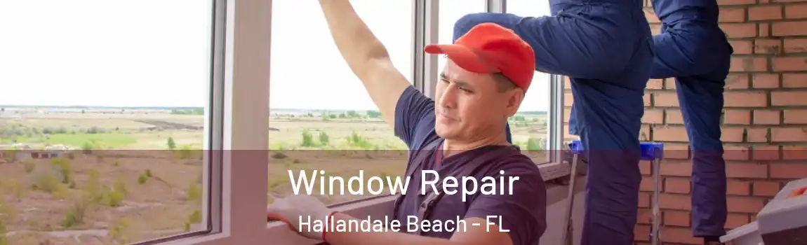  Window Repair Hallandale Beach - FL