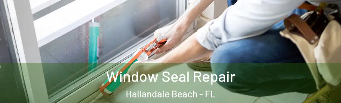 Window Seal Repair Hallandale Beach - FL